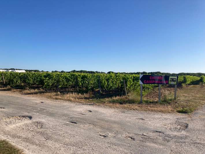 Camperplaats Vignoble Vincent