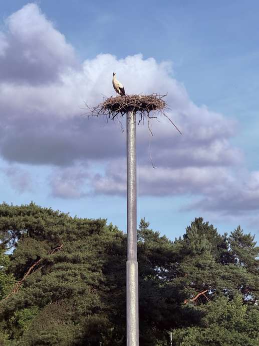 Een foto toegevoegd aan een locatie
