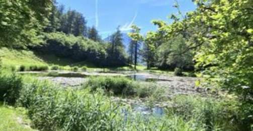 Added a photo to a location
