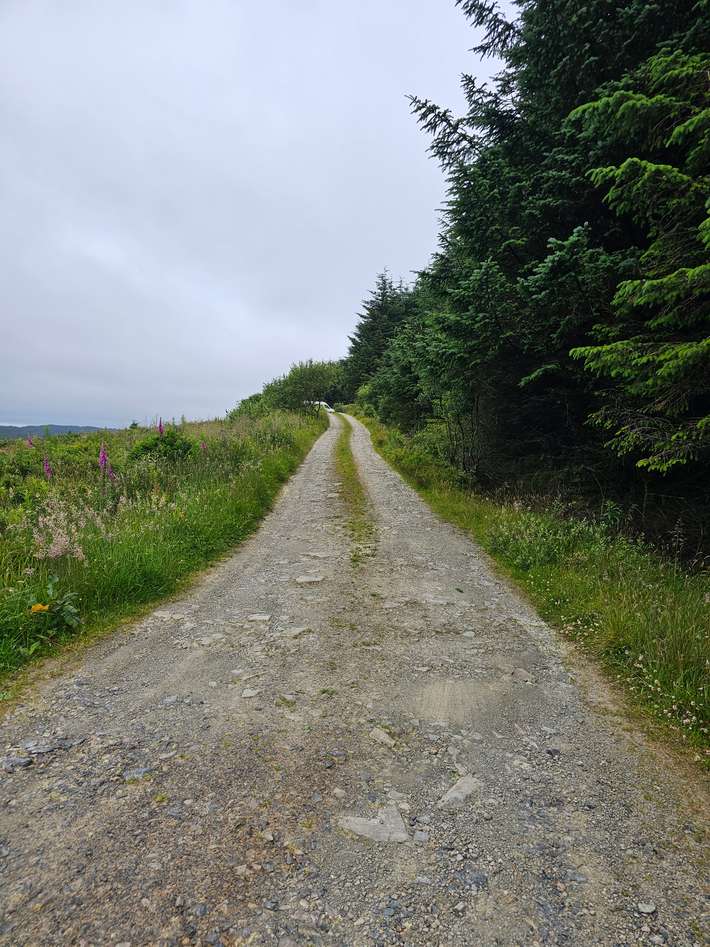 Parking Upper Cheviots