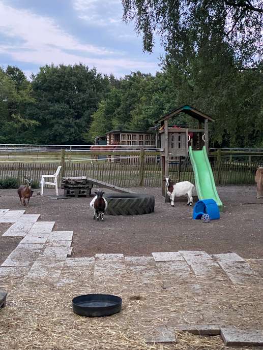 Added a photo to a location