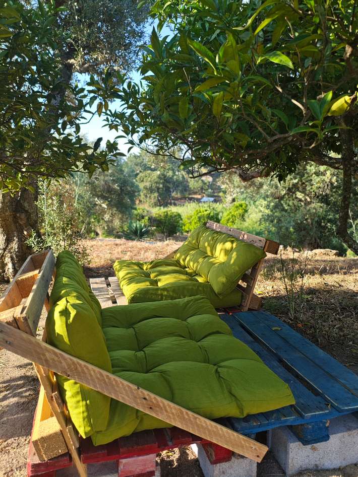 Quinta Mama Cadi