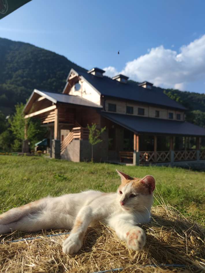 Etno domaćinstvo Dvožak