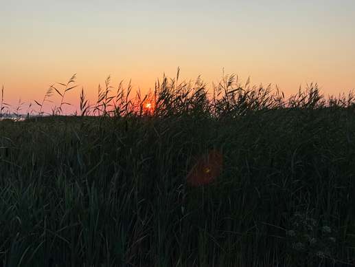 Einem Ort wurde ein Foto hinzugefügt