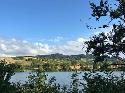 Added a photo to a location