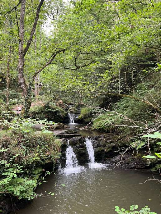 Een foto toegevoegd aan een locatie