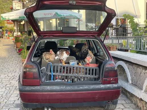 Einem Ort wurde ein Foto hinzugefügt