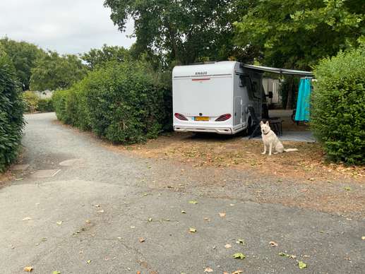 Een foto toegevoegd aan een locatie
