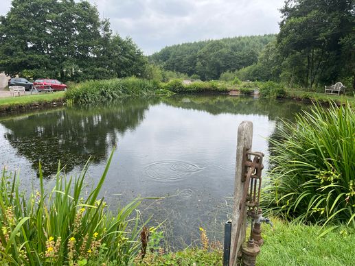 Een foto toegevoegd aan een locatie