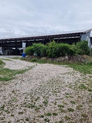Aggiunta una foto a una posizione