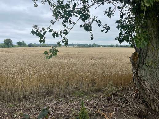 Added a photo to a location