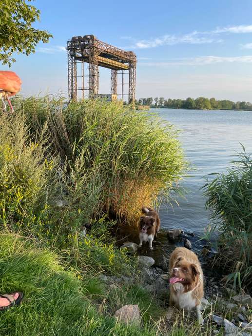 Einem Ort wurde ein Foto hinzugefügt