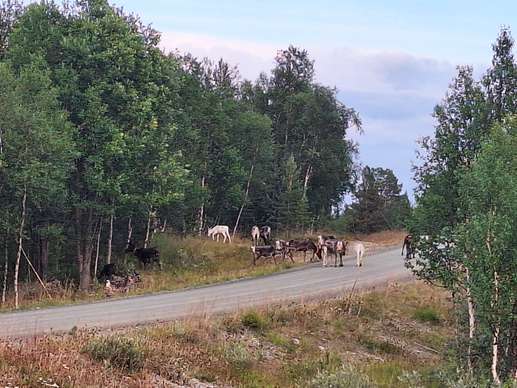 Added a photo to a location