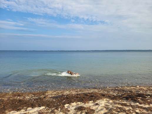 Added a photo to a location