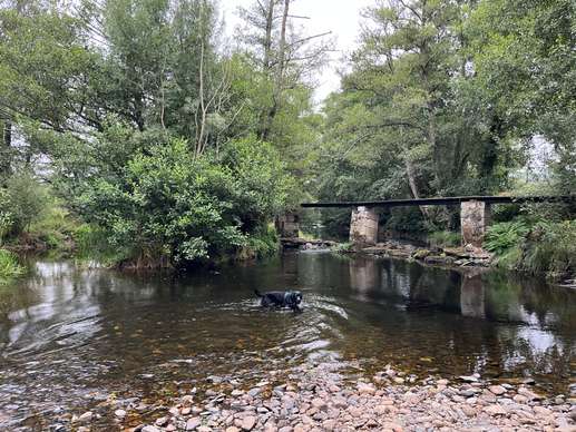 Een foto toegevoegd aan een locatie