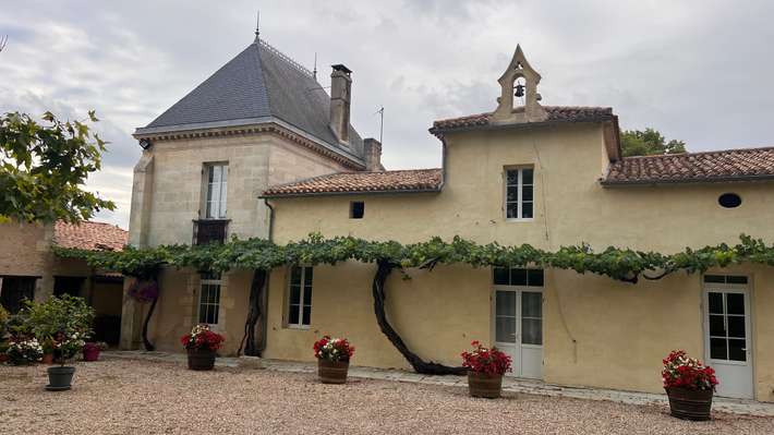 Domaine de la Grave - Vignobles 
