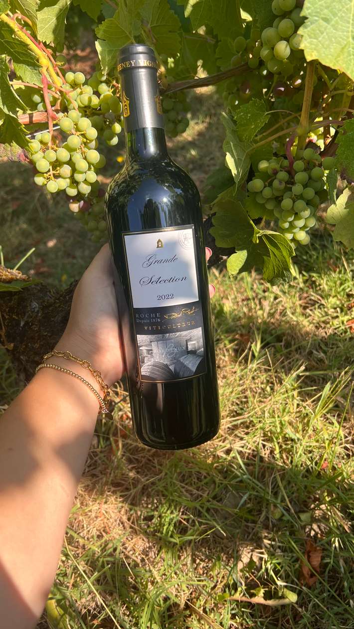 Domaine de la Grave - Vignobles 