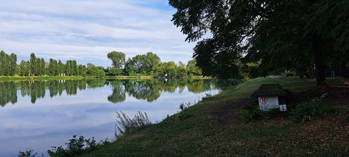 Oasi lago dei cigni