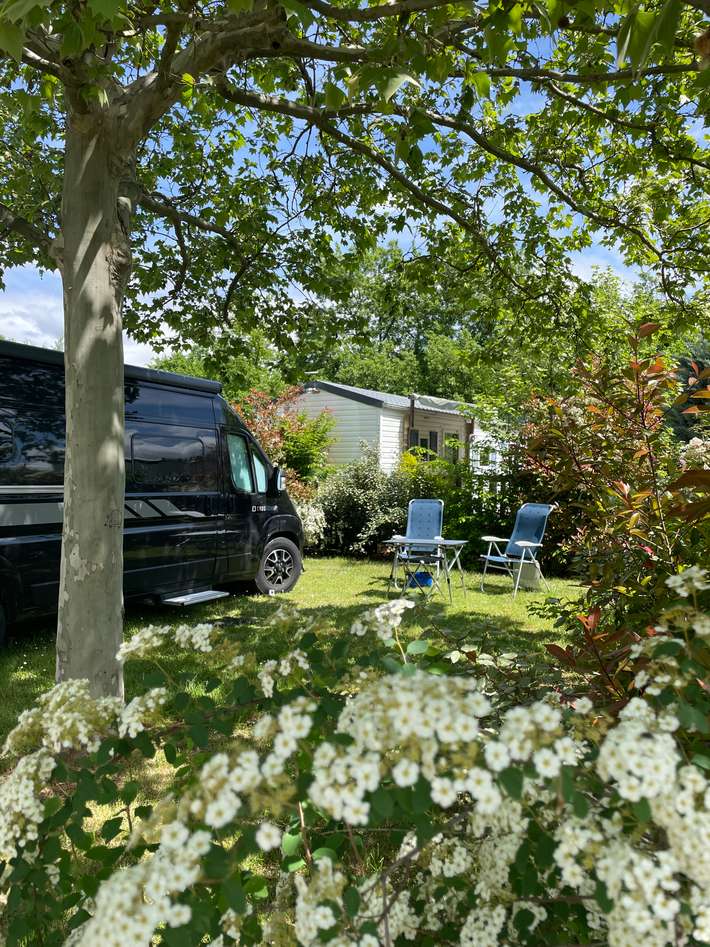 Camping Les Myotis
