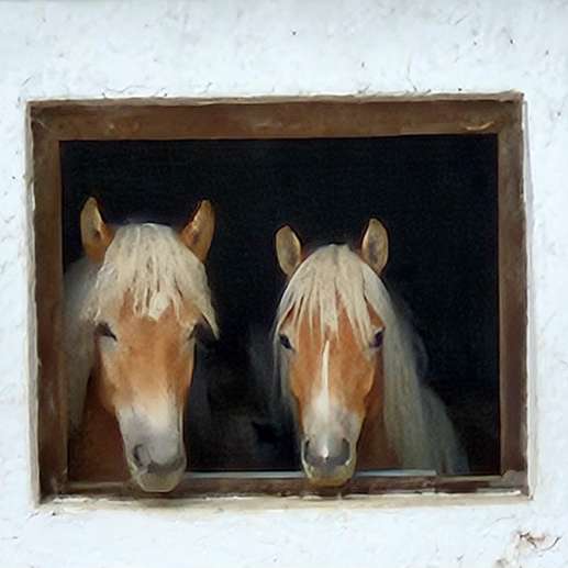 Een foto toegevoegd aan een locatie