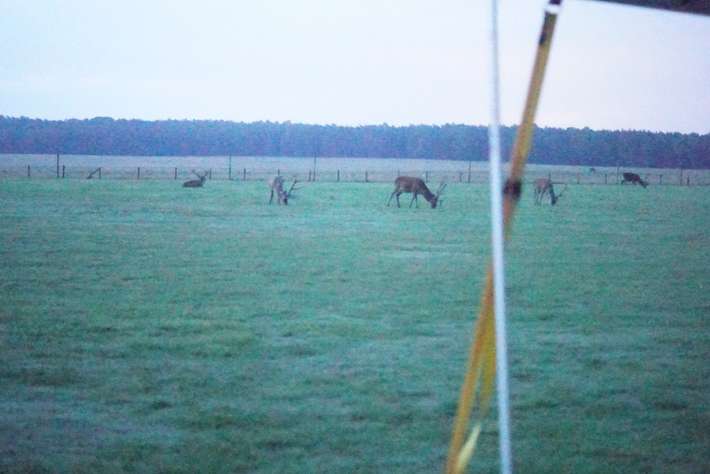Natuurcamping de Groenendaal