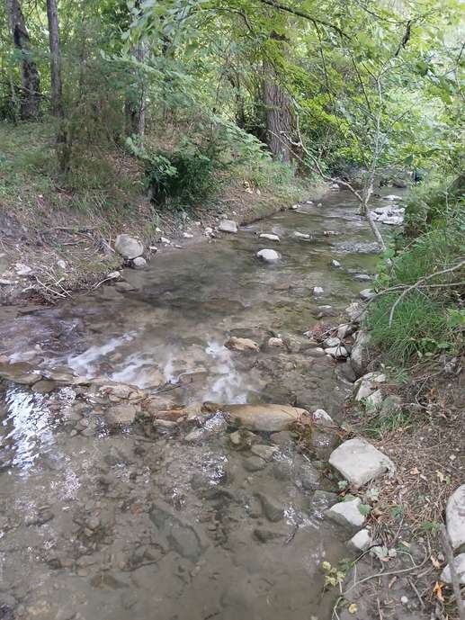 Added a photo to a location