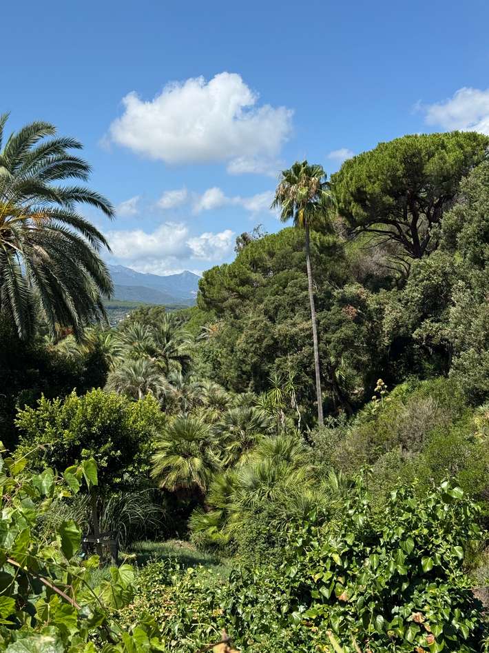 Rosselba Le Palme