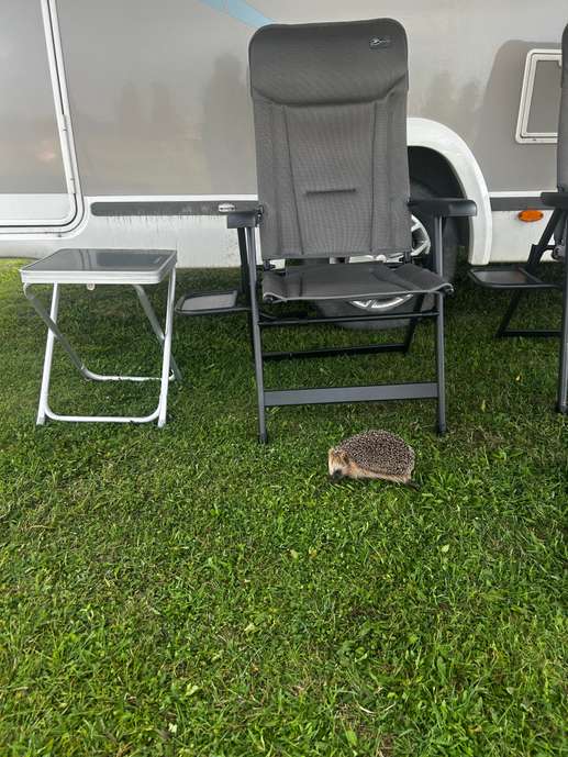 Aggiunta una foto a una posizione