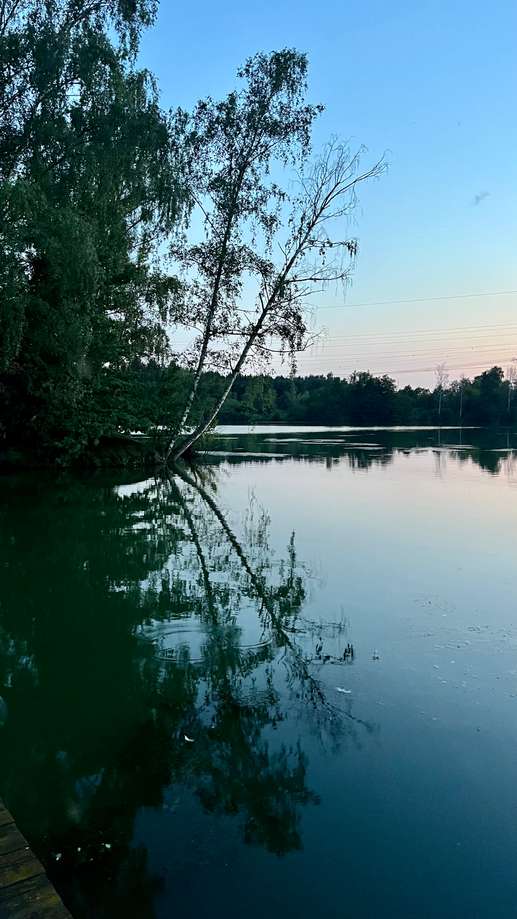 Added a photo to a location