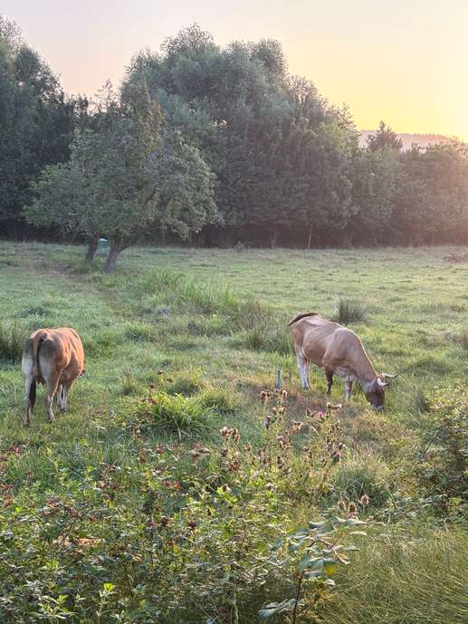 Aggiunta una foto a una posizione