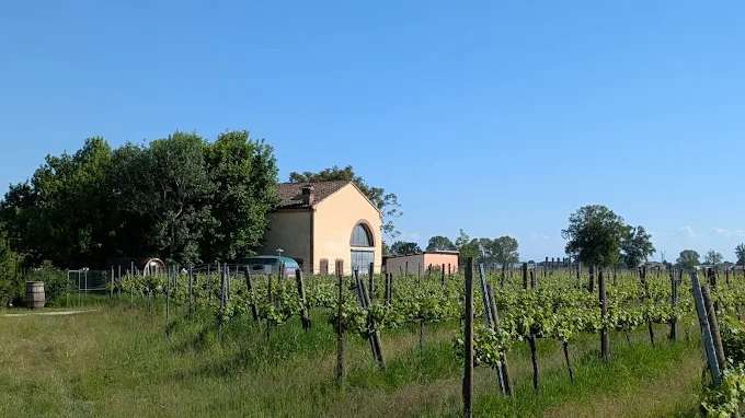 Azienda Agricola Giovanni Pacchioni