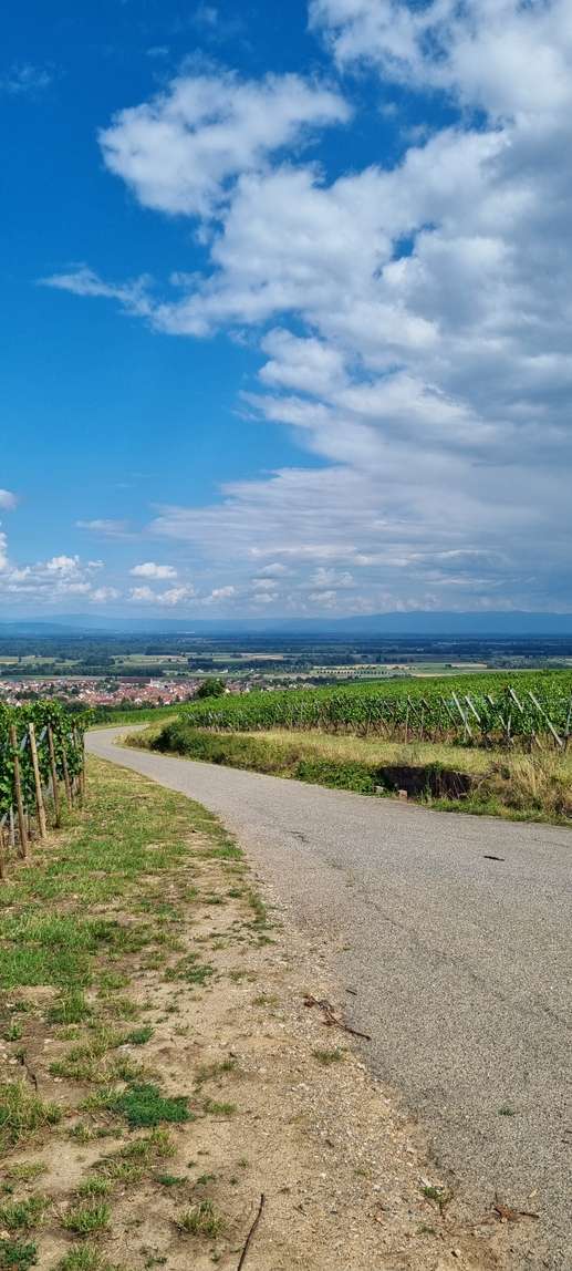 Aggiunta una foto a una posizione
