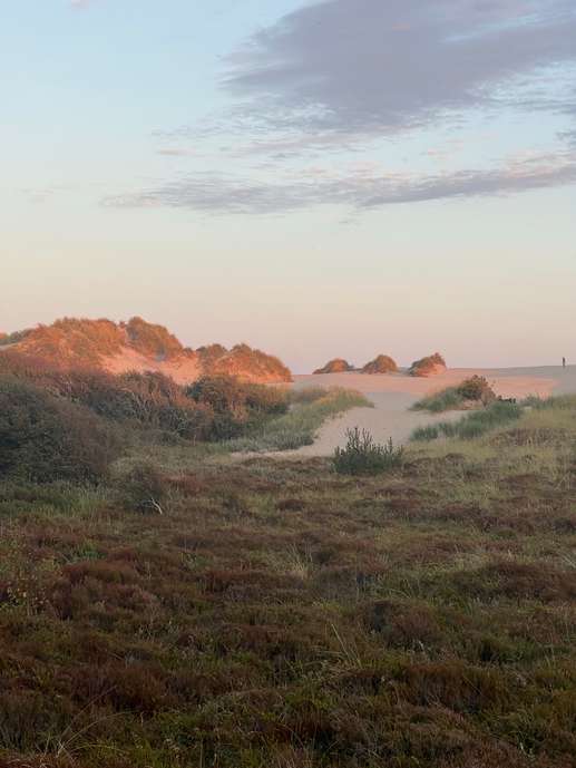 Een foto toegevoegd aan een locatie