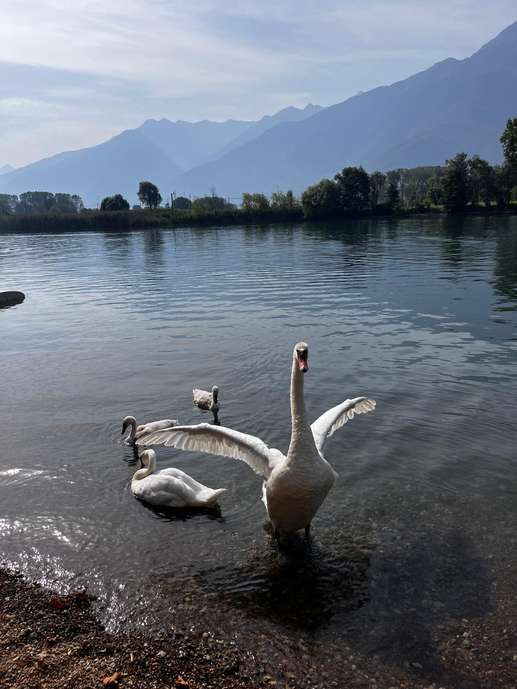 Aggiunta una foto a una posizione