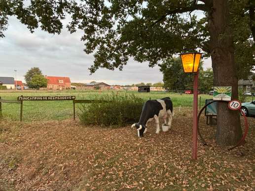 Added a photo to a location