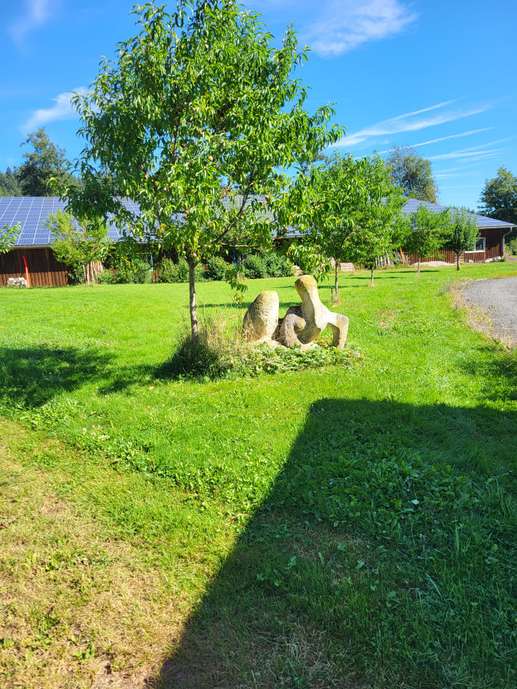 Een foto toegevoegd aan een locatie