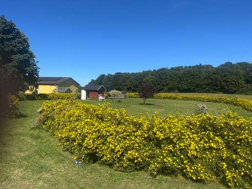 Added a photo to a location