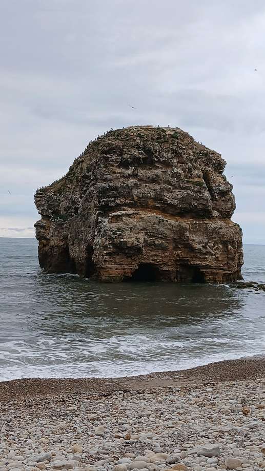 Added a photo to a location