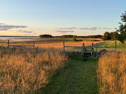 Een foto toegevoegd aan een locatie