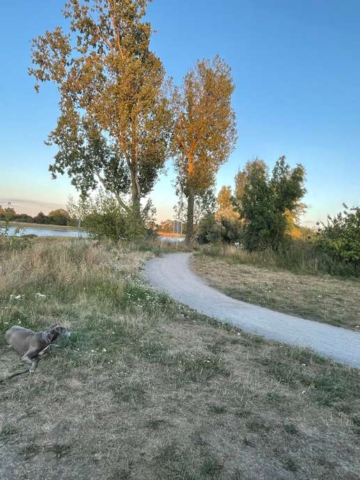 Een foto toegevoegd aan een locatie