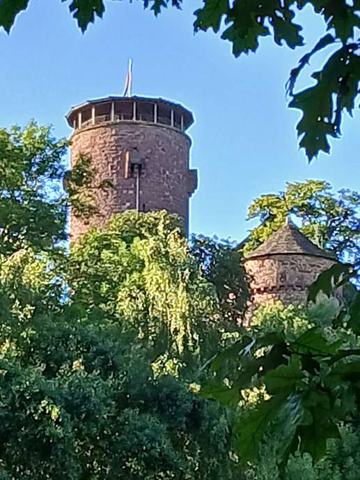 Een foto toegevoegd aan een locatie