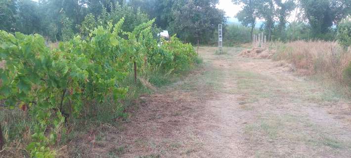 Granja autosuficiente El Castaño