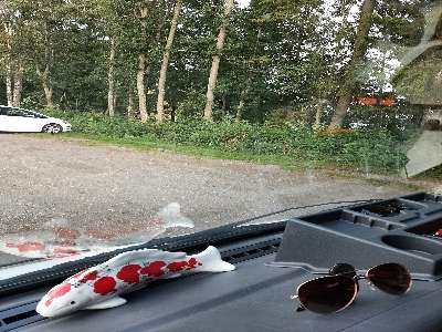 Einem Ort wurde ein Foto hinzugefügt