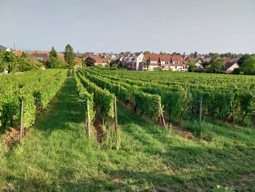 Een foto toegevoegd aan een locatie