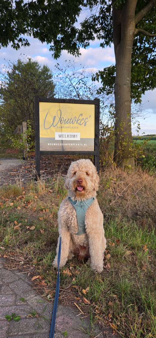 Een foto toegevoegd aan een locatie