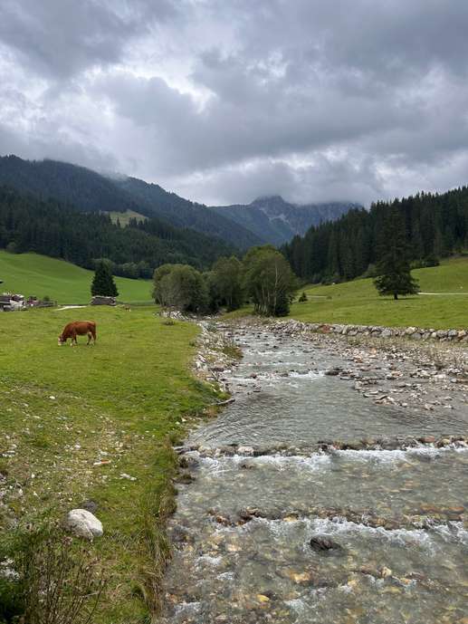 Added a photo to a location