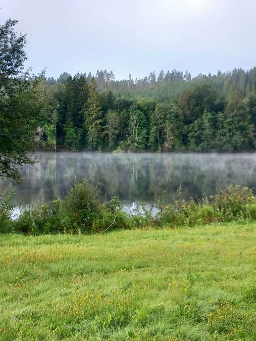 Added a photo to a location
