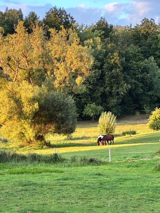 Een foto toegevoegd aan een locatie