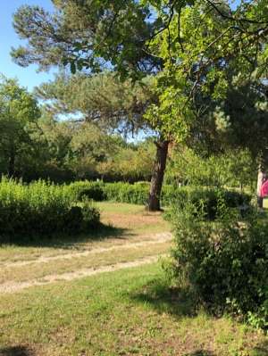 Added a photo to a location