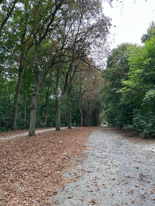 Een foto toegevoegd aan een locatie